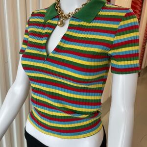 Zara Colorful Striped Polo Crop Top